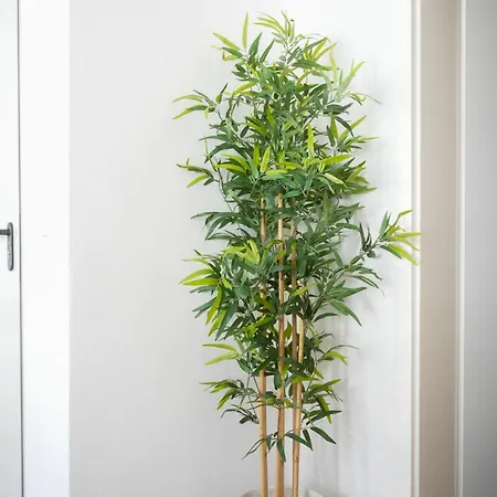 Altstadt * קובלנץ