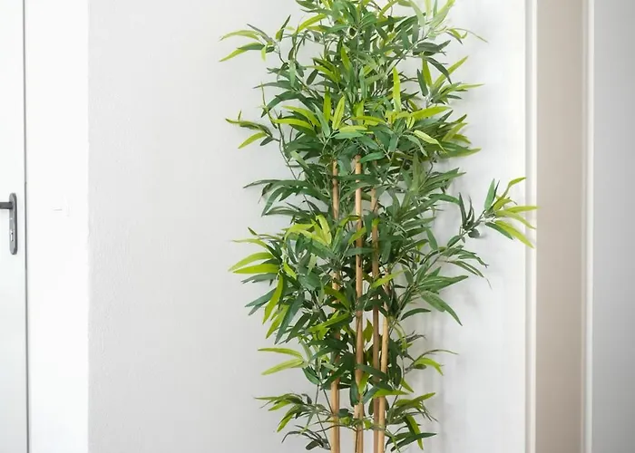 Altstadt * コブレンツ